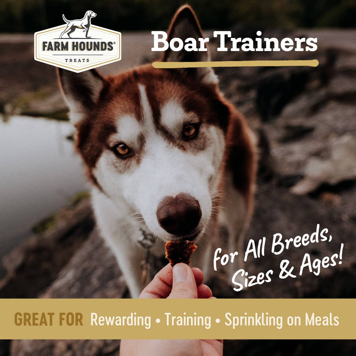 Wild Boar | Natural Training Treats – 4.5 oz