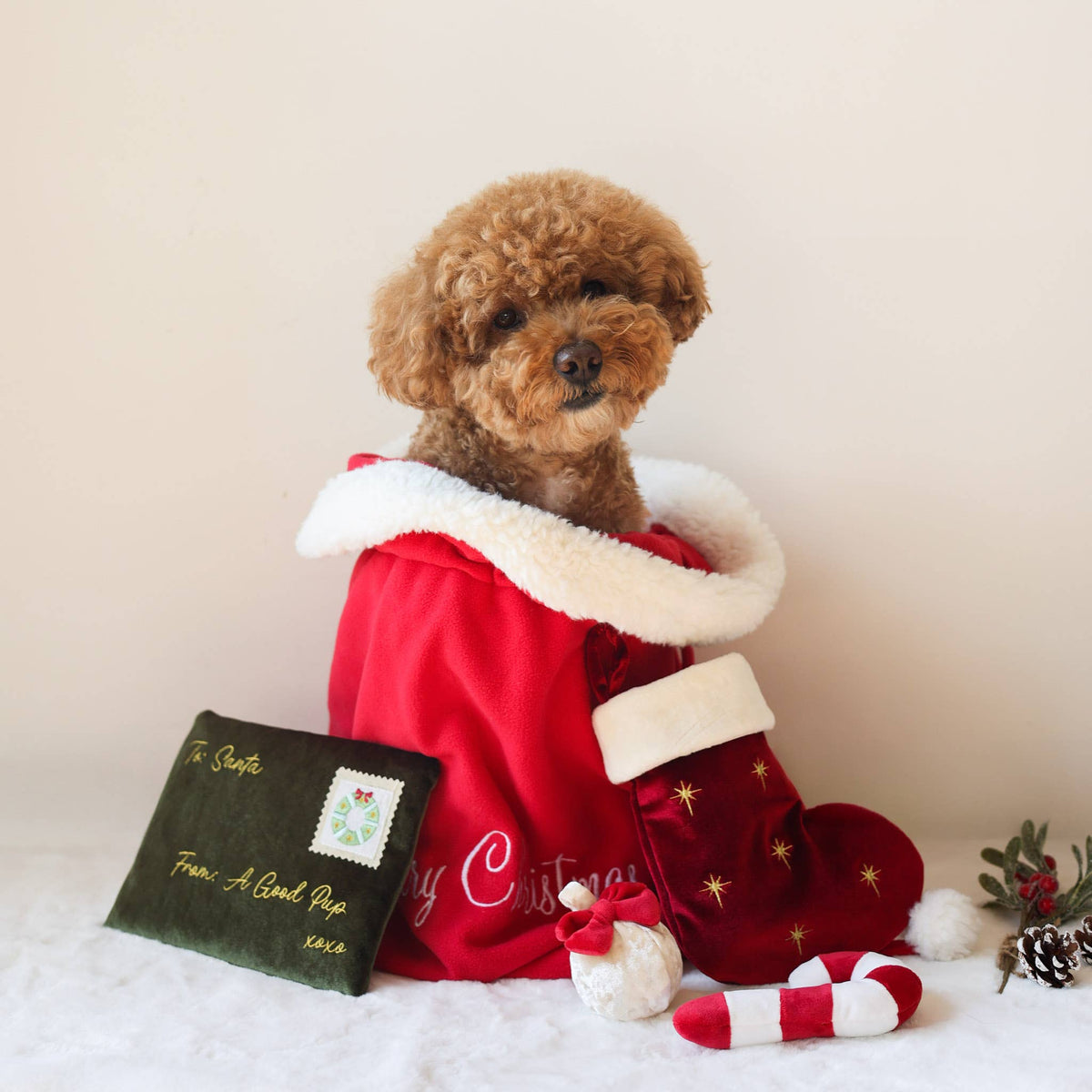 Noël | Letter to Santa Nosework Toy