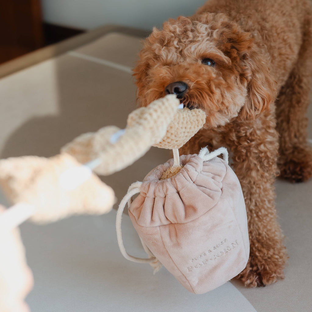 Poppi | Popcorn Nosework Toy