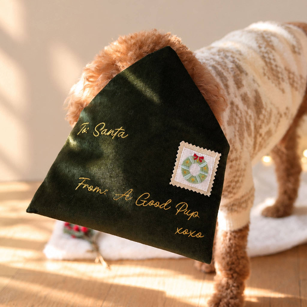 Noël | Letter to Santa Nosework Toy