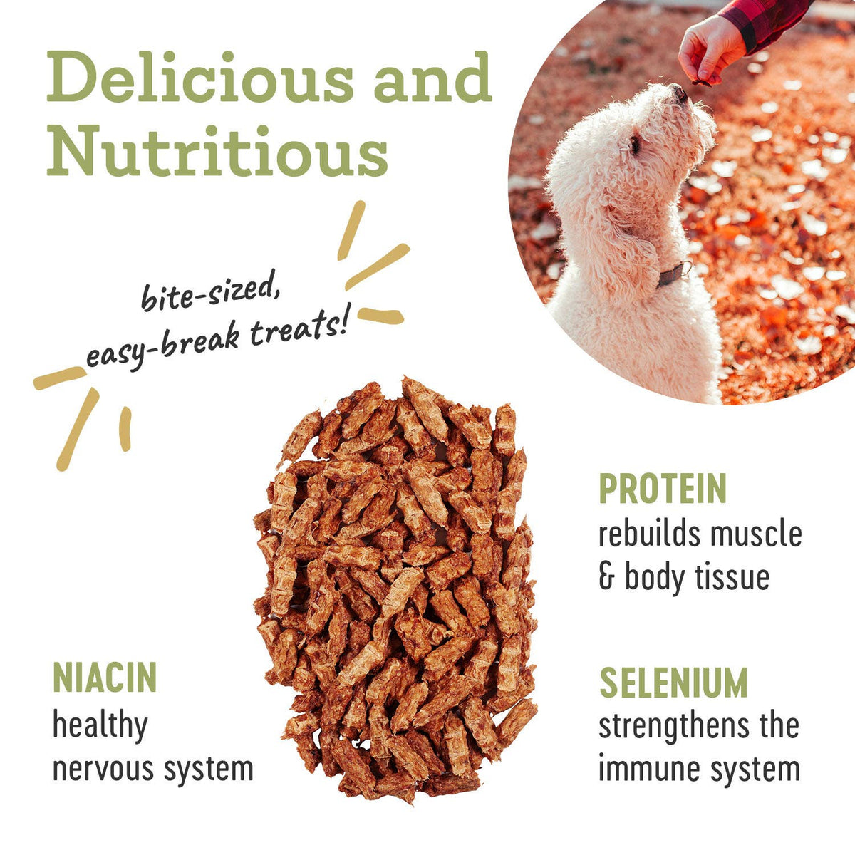 Chicken | Natural Training Treats – 4.5 oz
