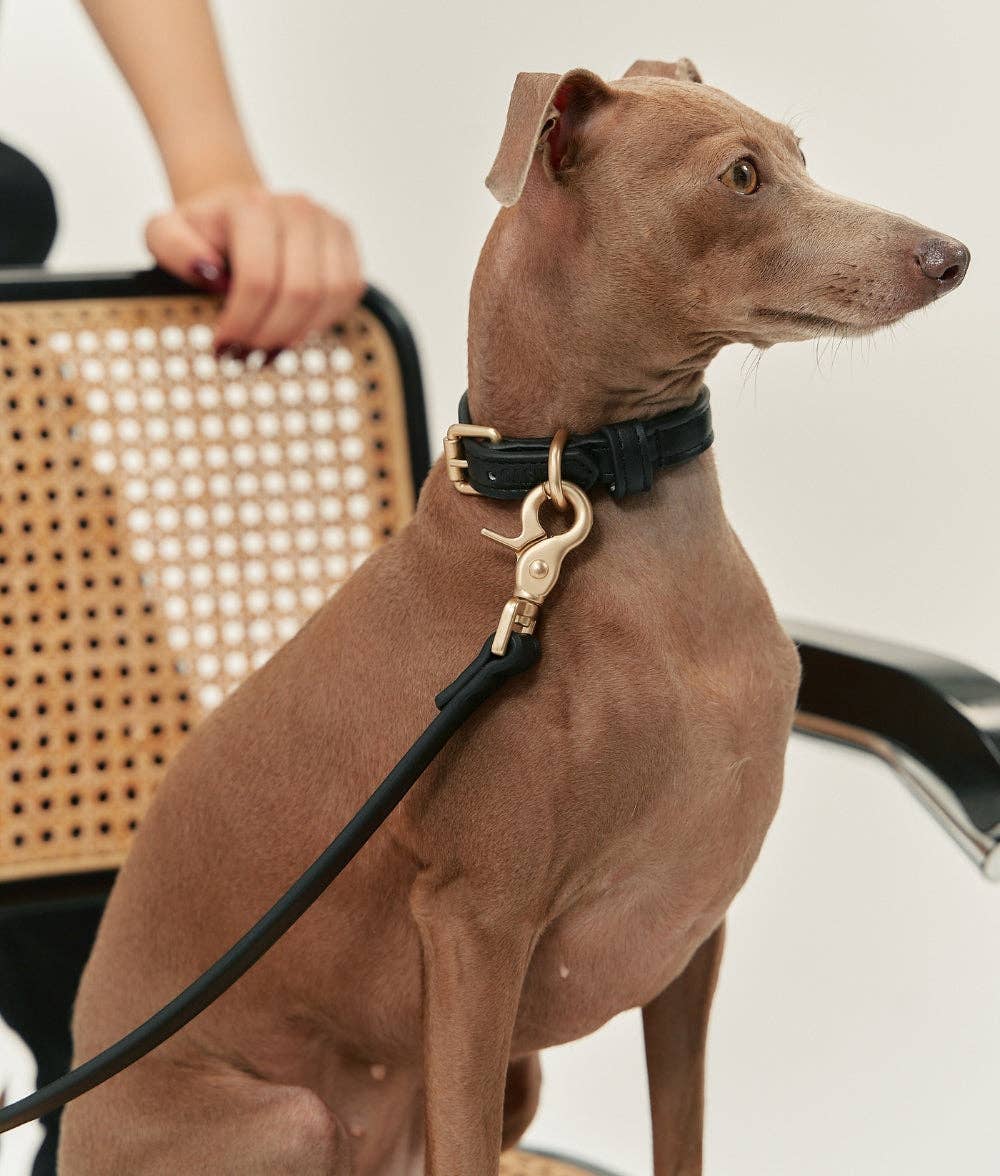 Jala | Vegan Leather Collar - Black