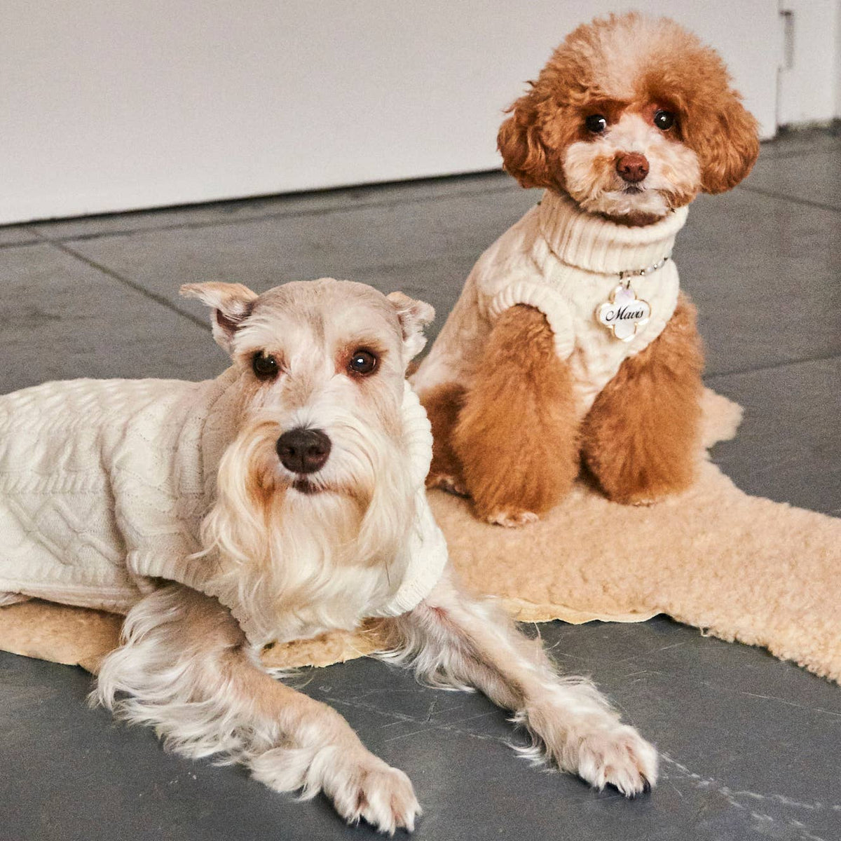 Alba | Merino Wool Dog Sweater