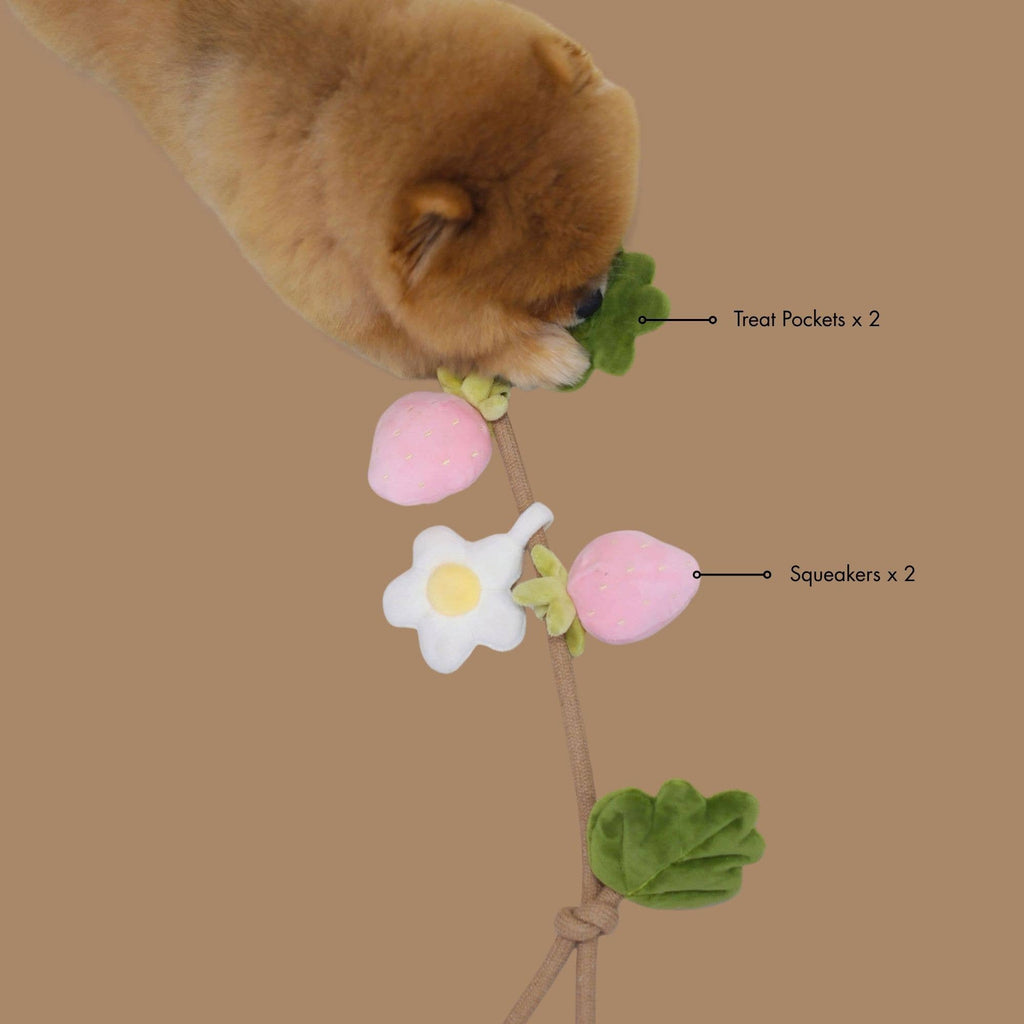 Fraise | Strawberry Rope Toy