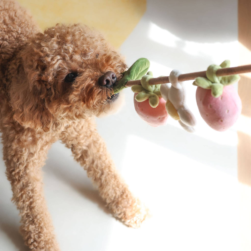 Fraise | Strawberry Rope Toy