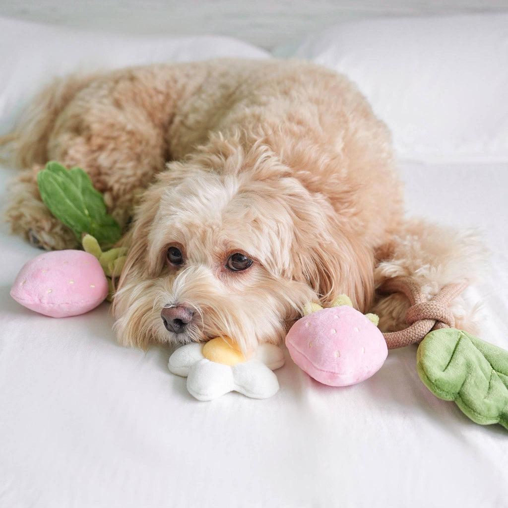 Fraise | Strawberry Rope Toy