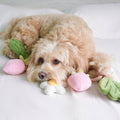 Fraise | Strawberry Rope Toy