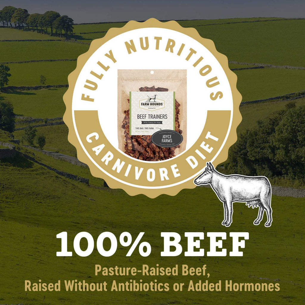 Beef | Natural Training Treats – 4.5 oz