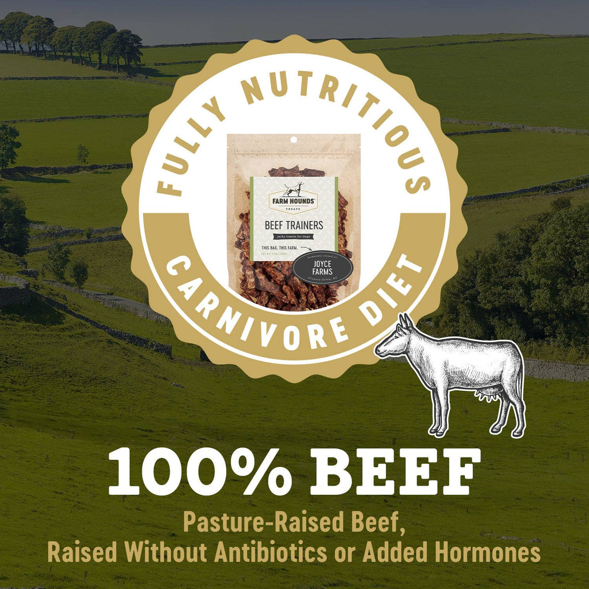 Beef | Natural Training Treats – 4.5 oz