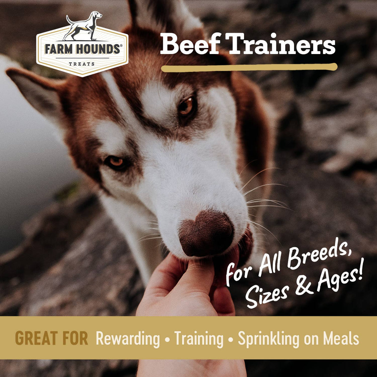 Beef | Natural Training Treats – 4.5 oz