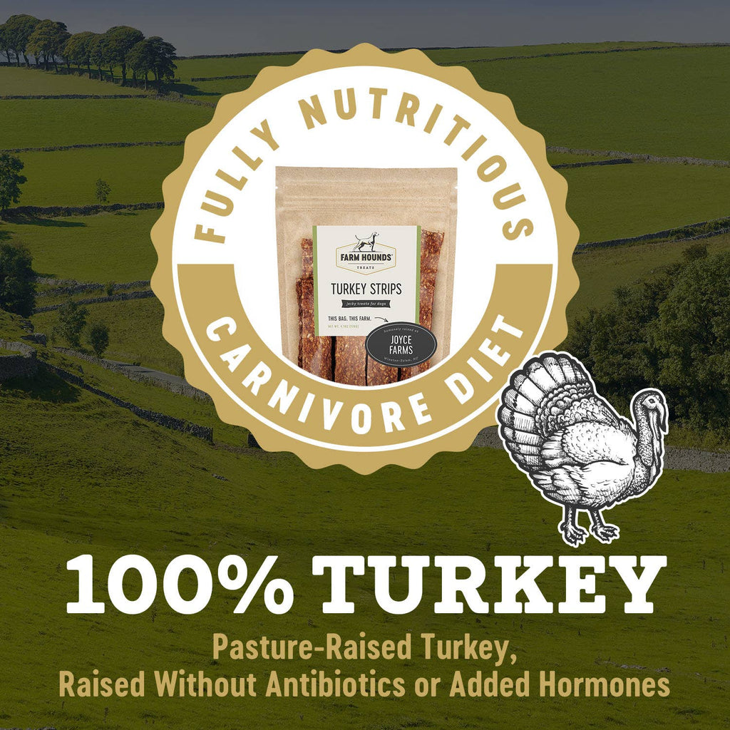 Turkey | Natural Dog Treat Strips – 4.5 oz