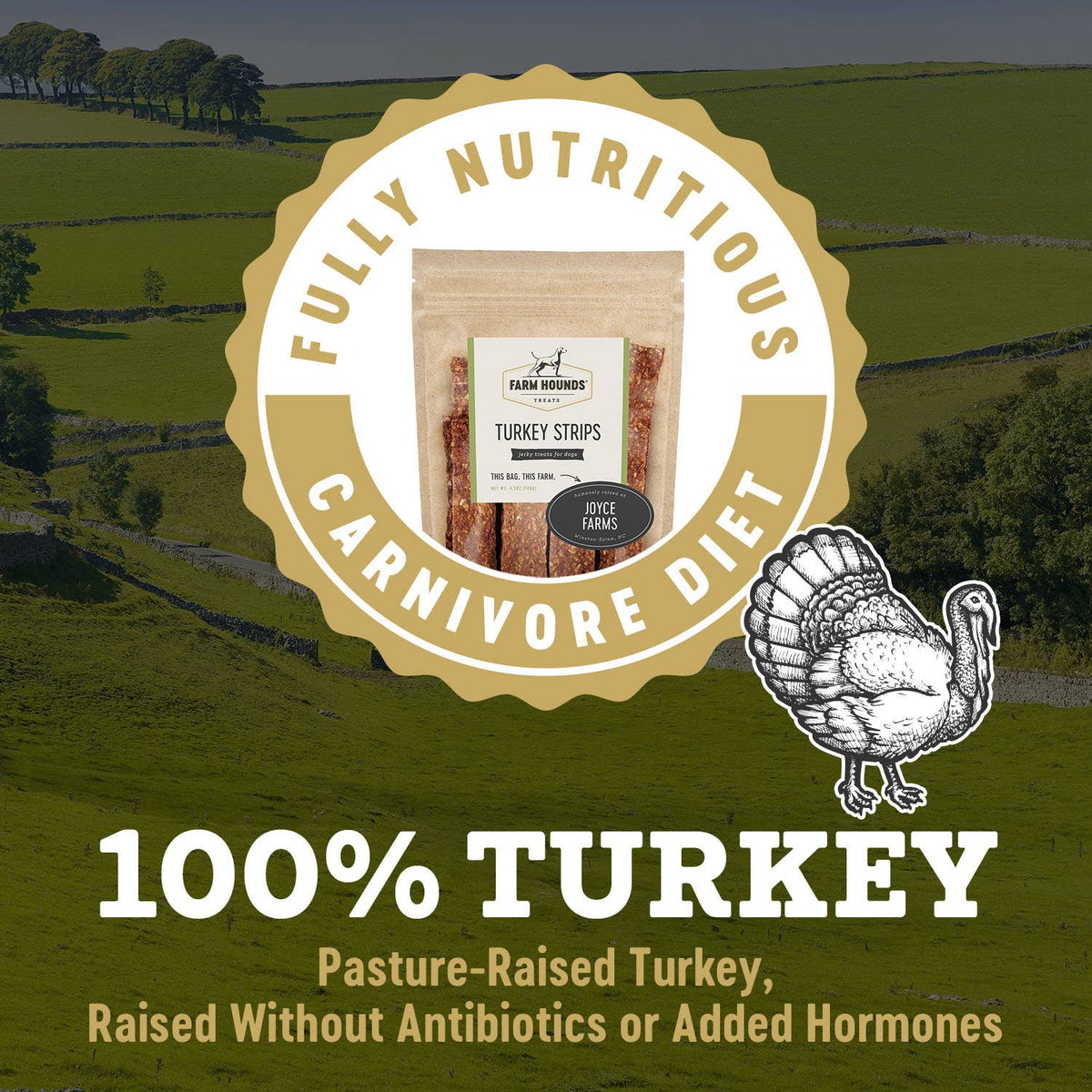Turkey | Natural Dog Treat Strips – 4.5 oz