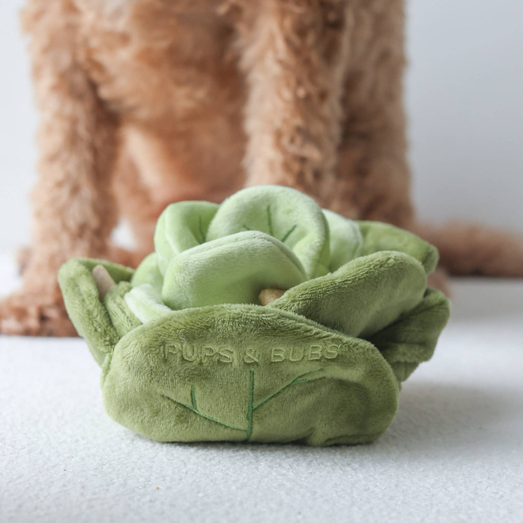 Chou | Cabbage Nosework Toy