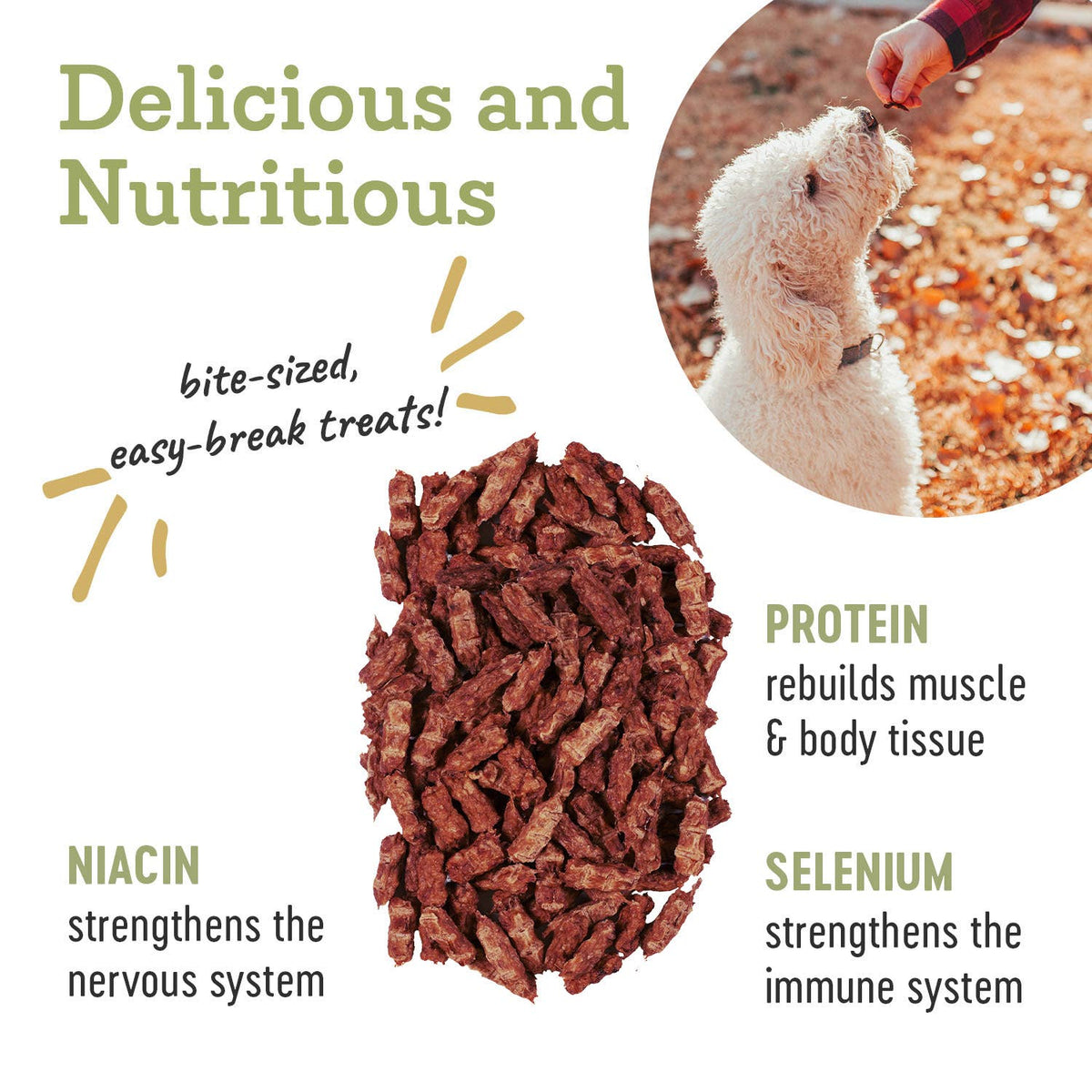 Wild Boar | Natural Training Treats – 4.5 oz