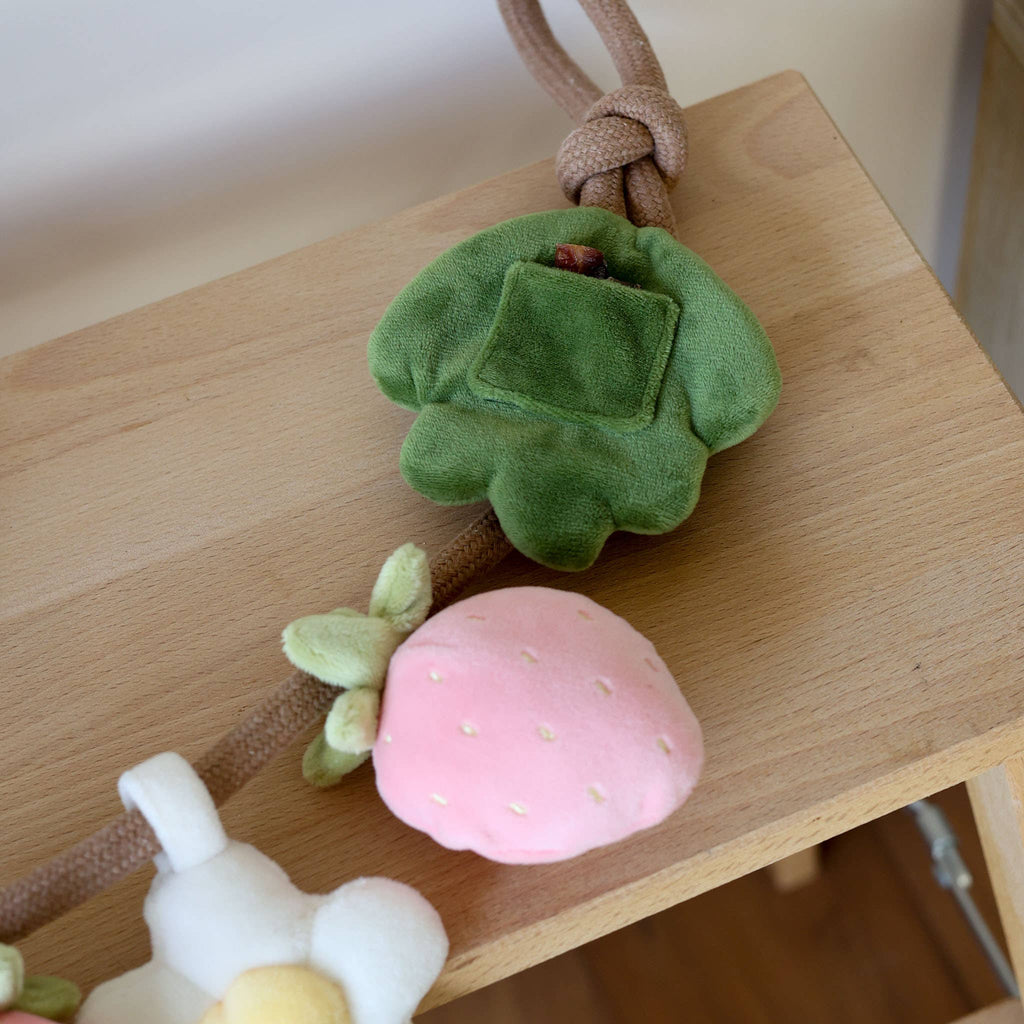 Fraise | Strawberry Rope Toy