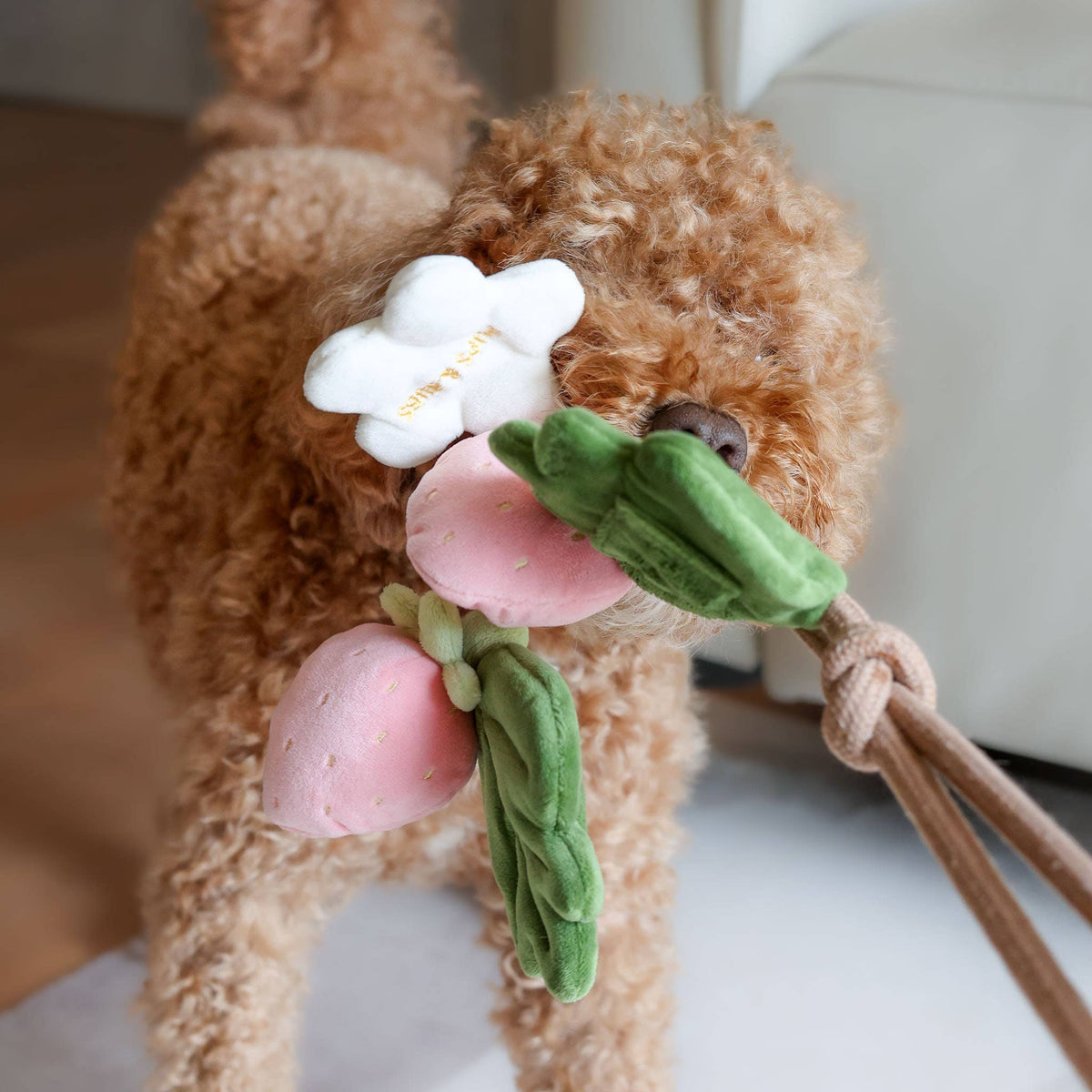 Fraise | Strawberry Rope Toy