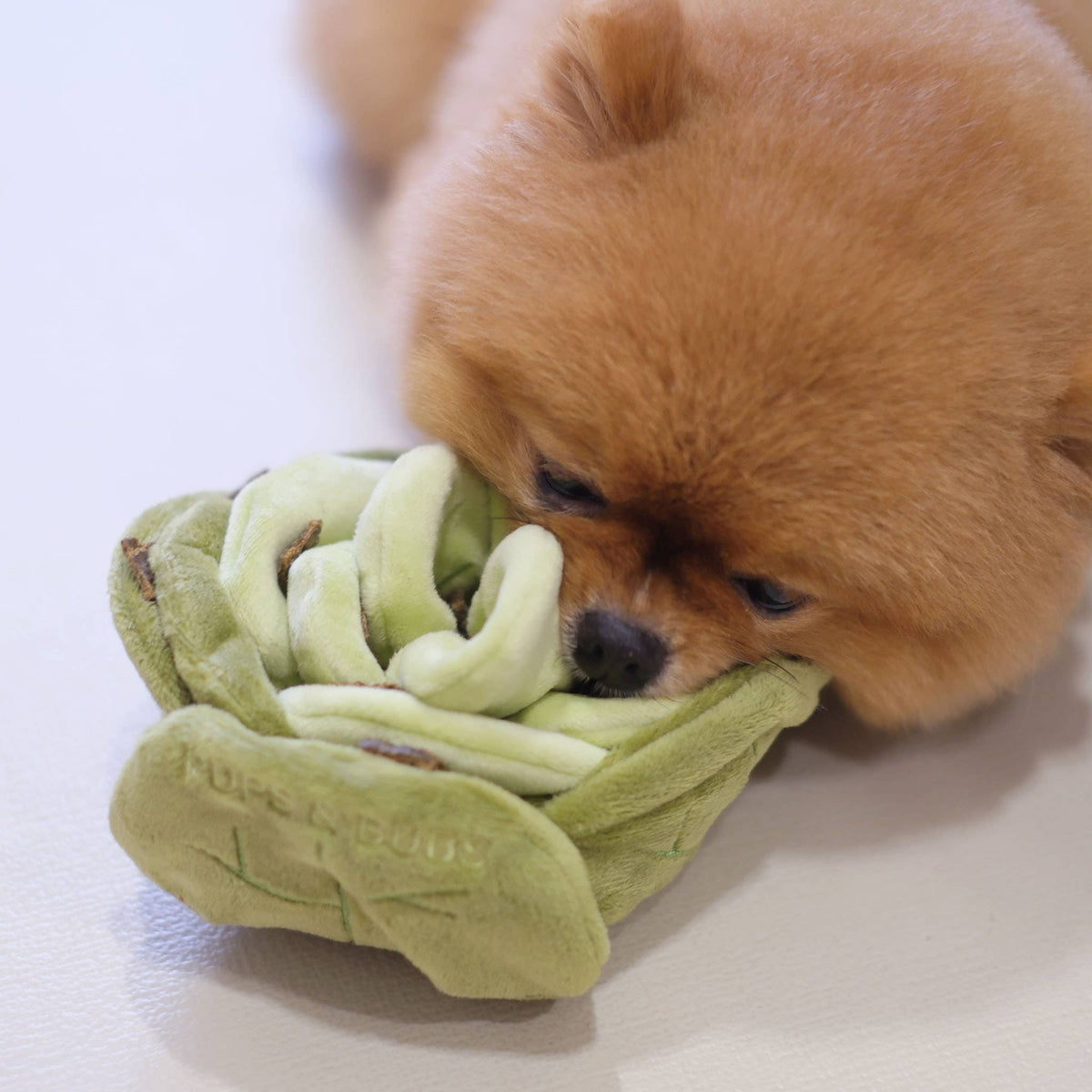 Chou | Cabbage Nosework Toy