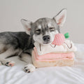 Fraise | Mille-Feuille Nosework Toy