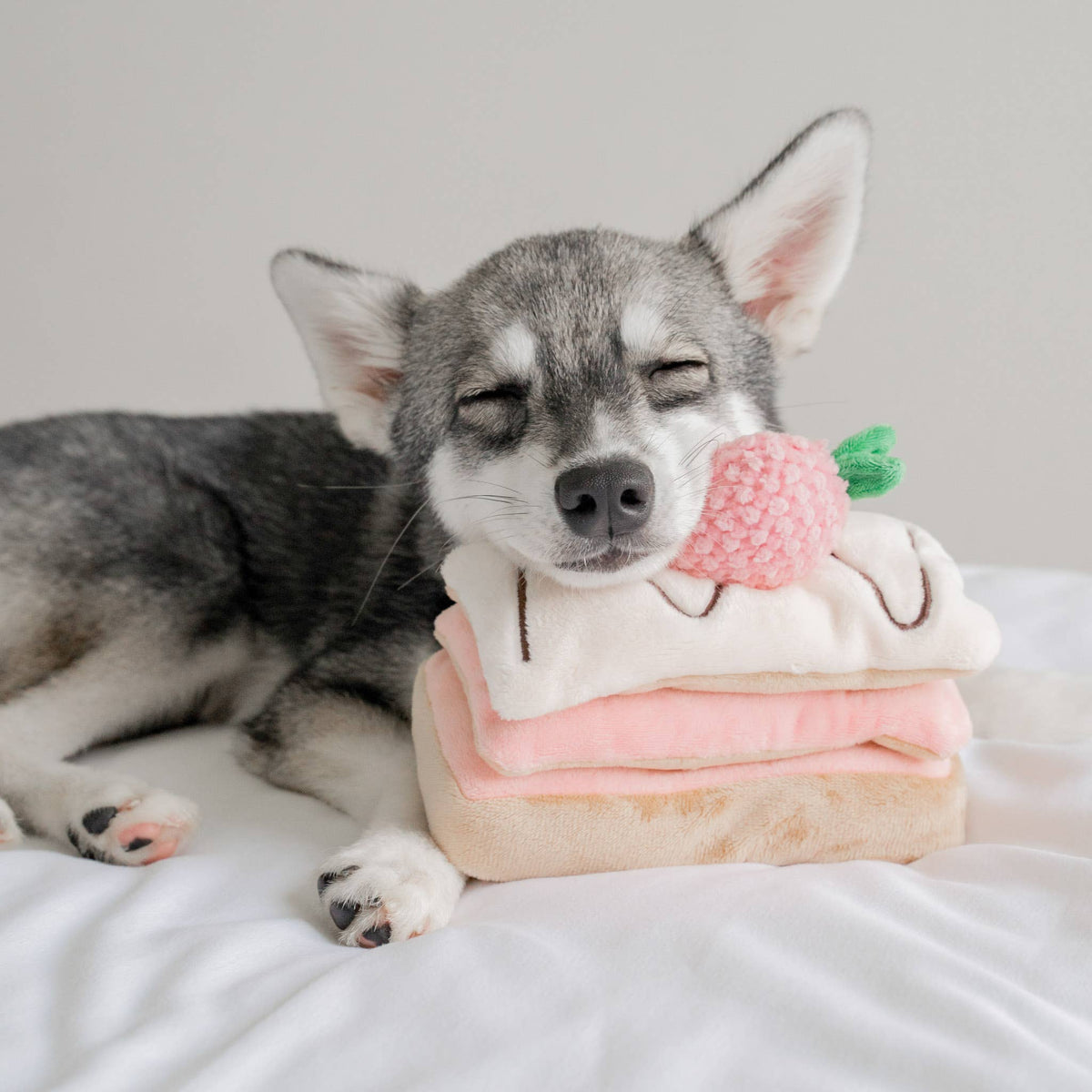 Fraise | Mille-Feuille Nosework Toy