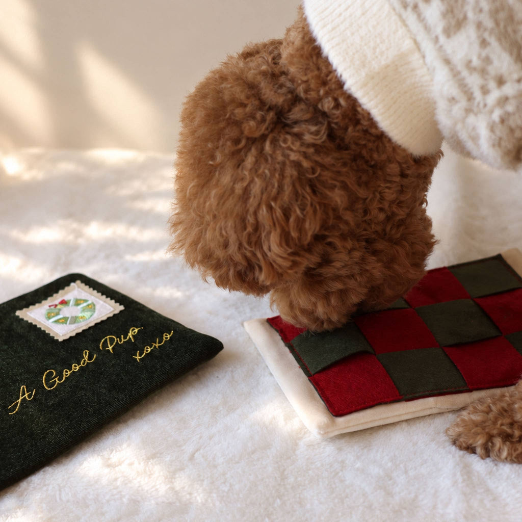 Noël | Letter to Santa Nosework Toy