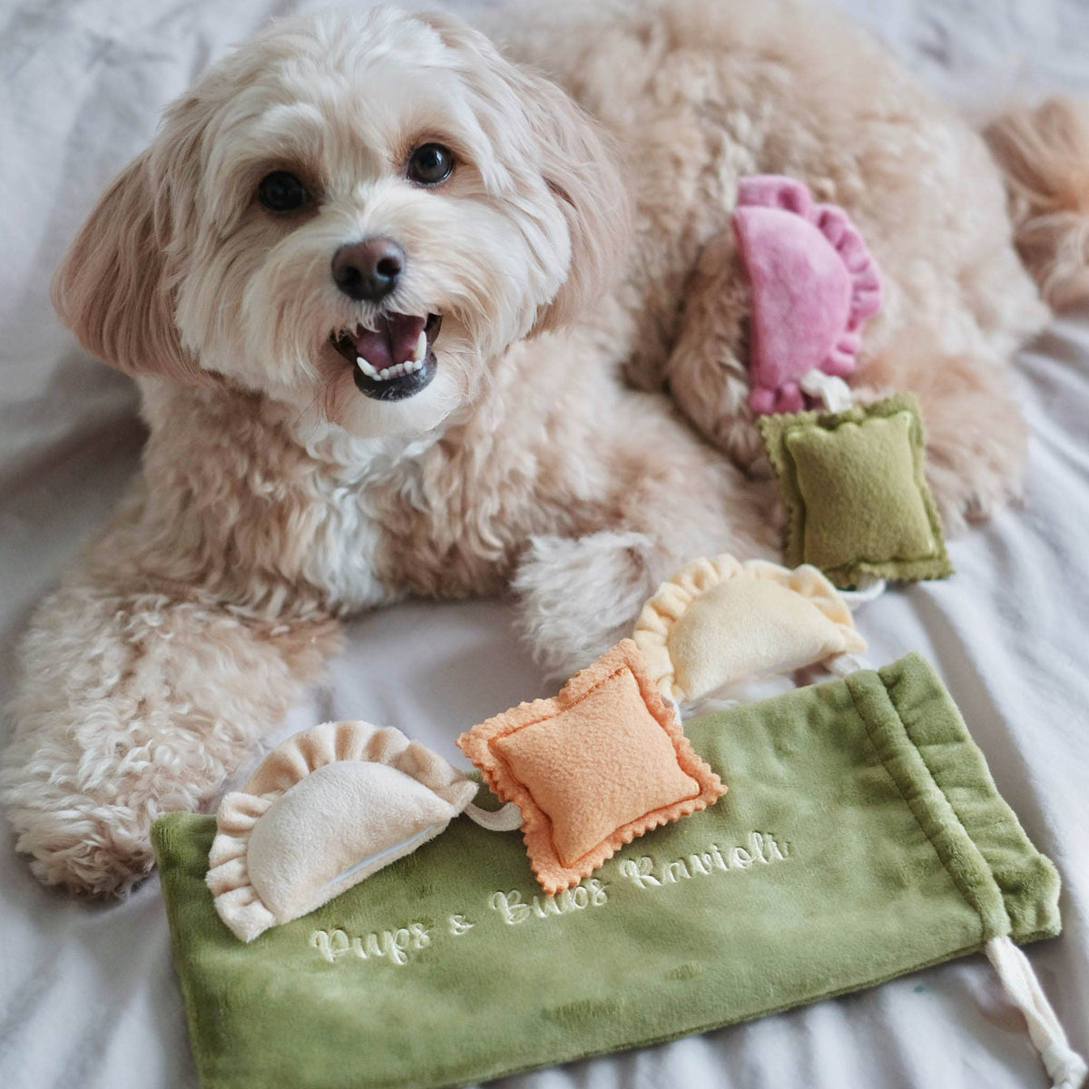 Ravioli | Nosework Enrichment Toy