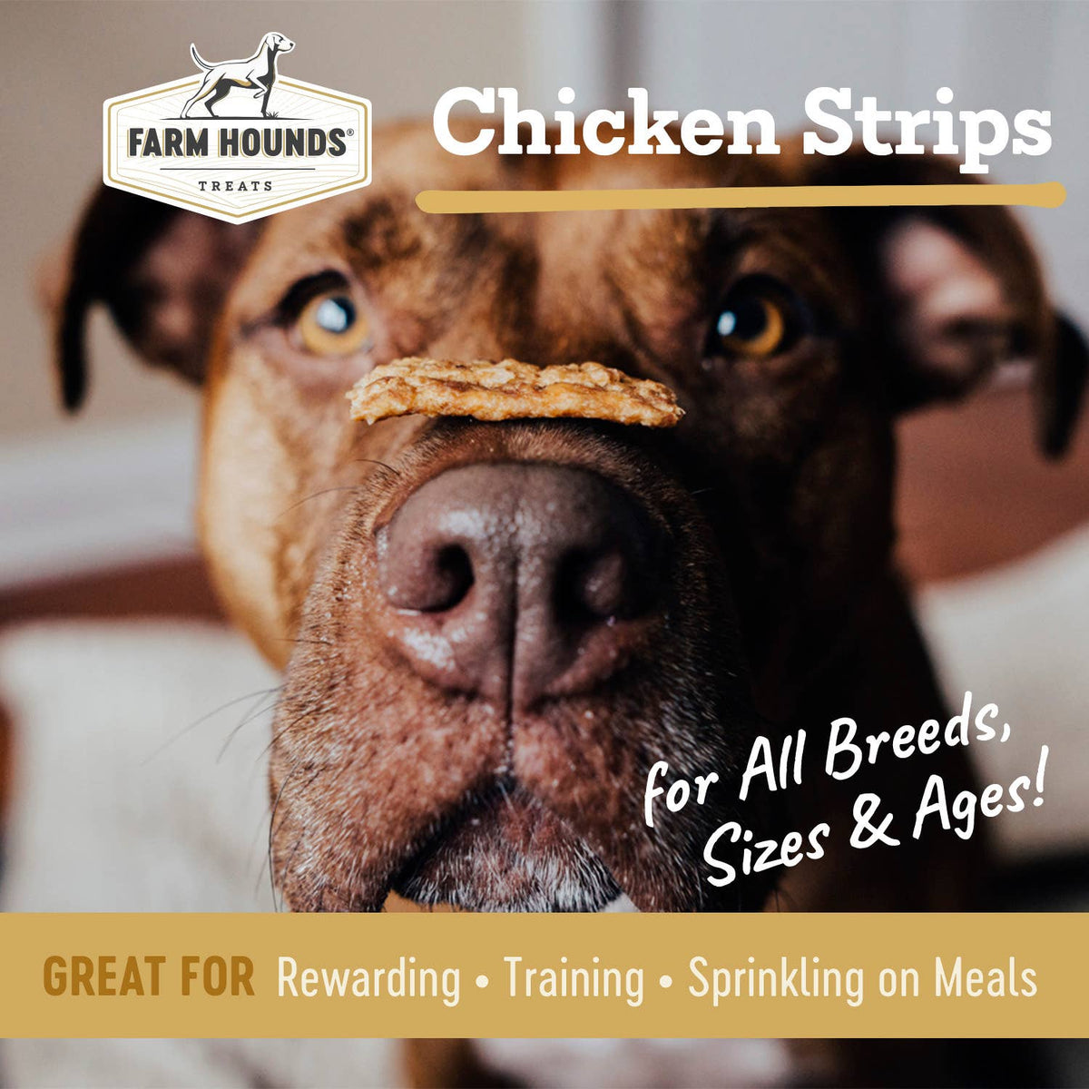 Chicken | Natural Dog Treat Strips – 4.5 oz