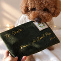 Noël | Letter to Santa Nosework Toy
