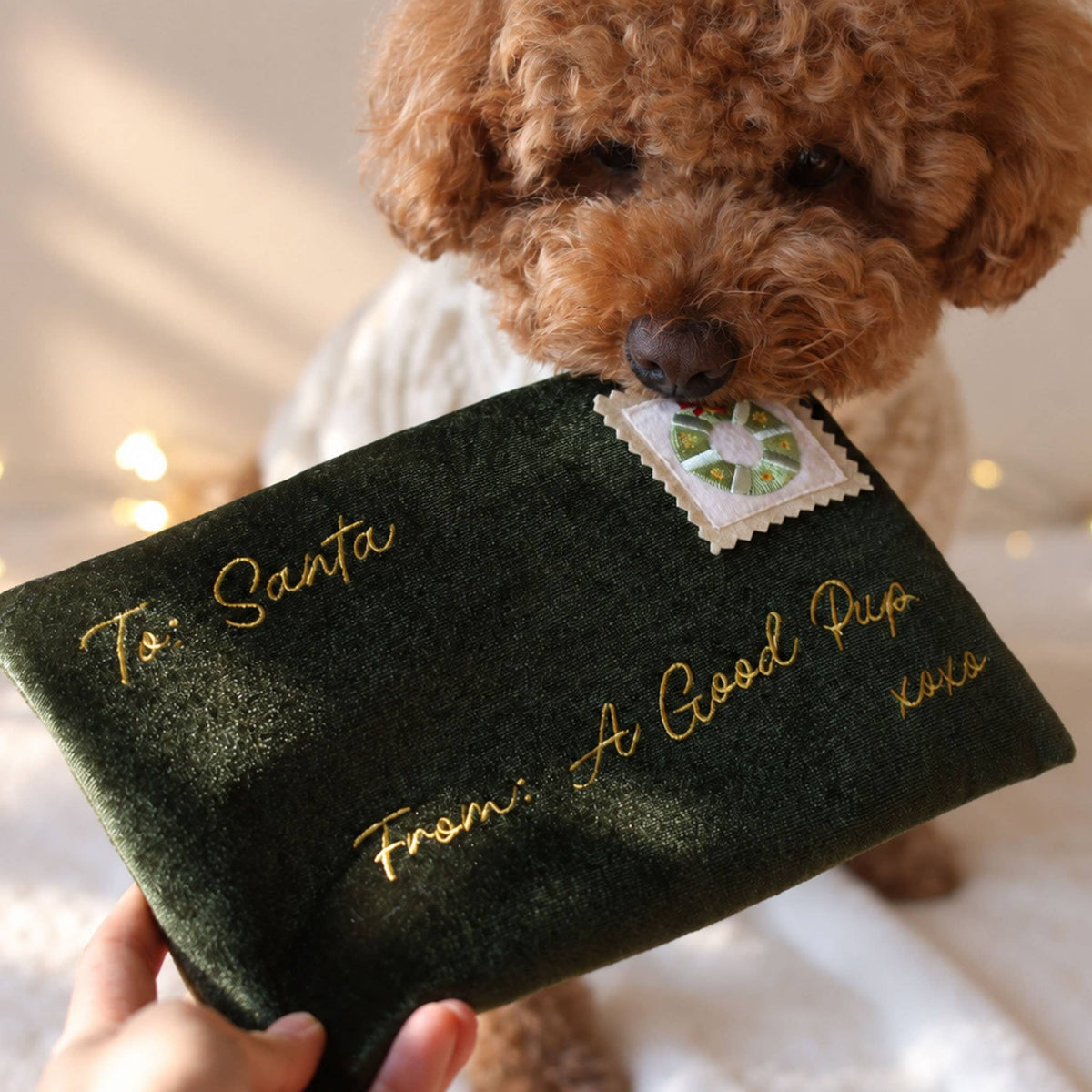 Noël | Letter to Santa Nosework Toy