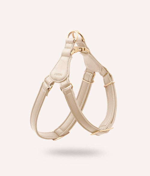 Ivory CAFIDE Jala vegan leather dog harness displayed on a neutral background