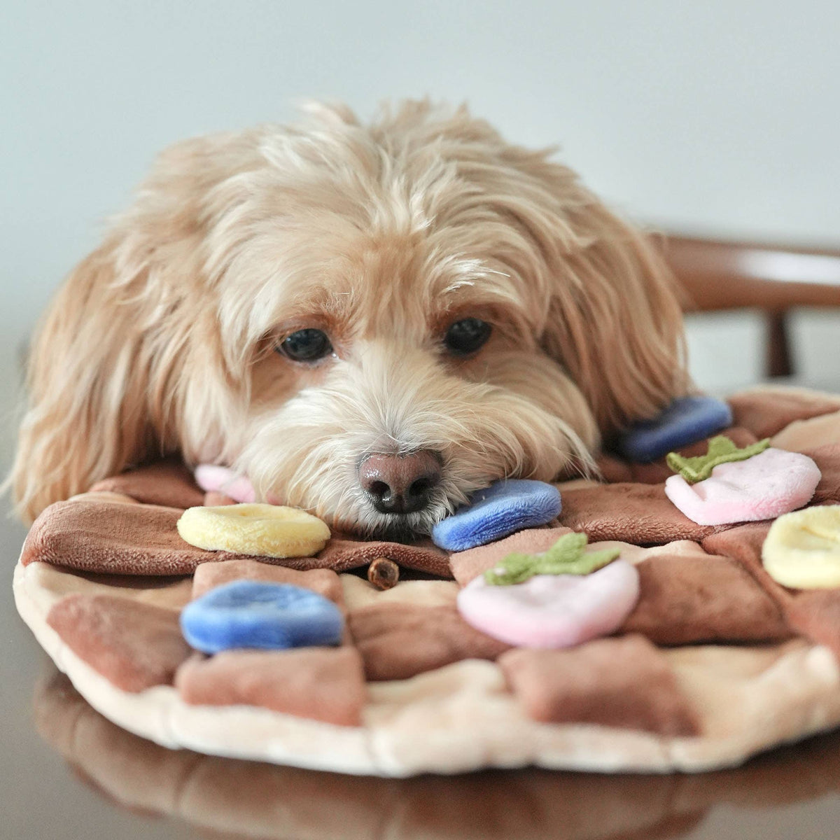 Délice | Crêpe Snuffle Mat