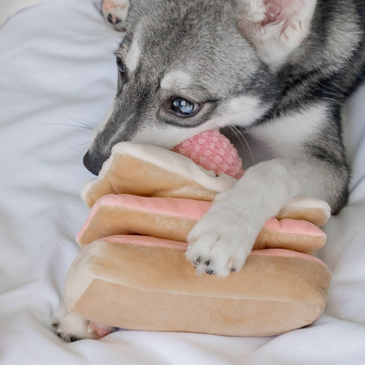 Fraise | Mille-Feuille Nosework Toy