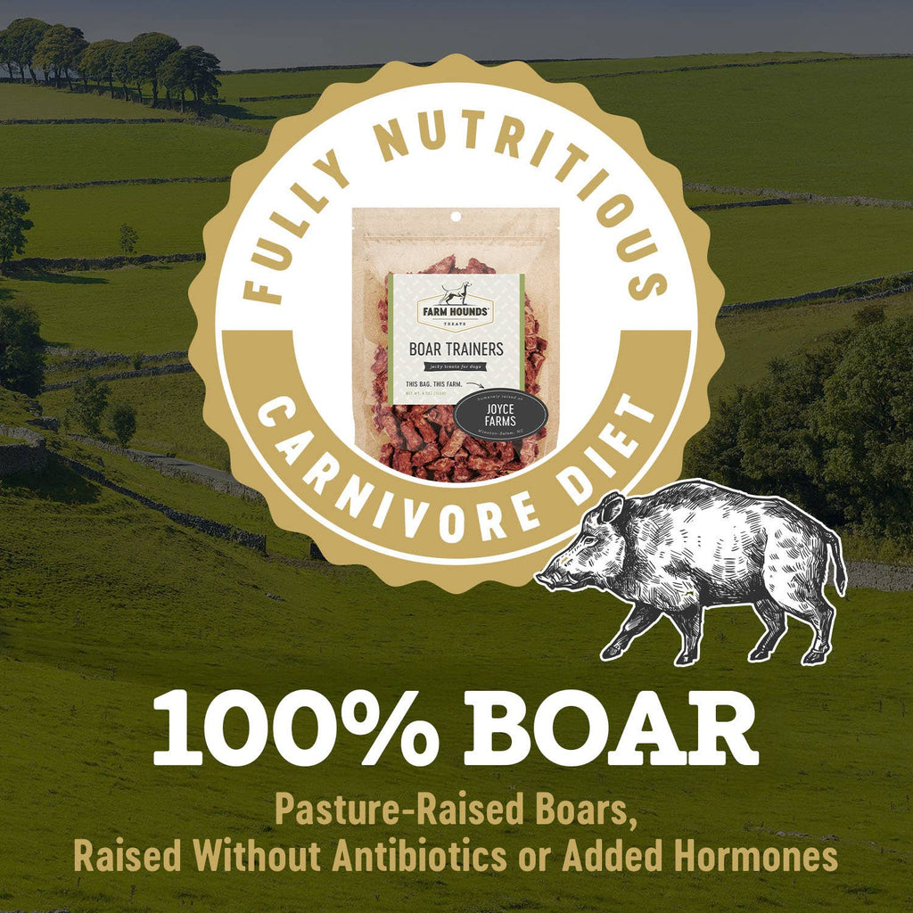 Wild Boar | Natural Training Treats – 4.5 oz