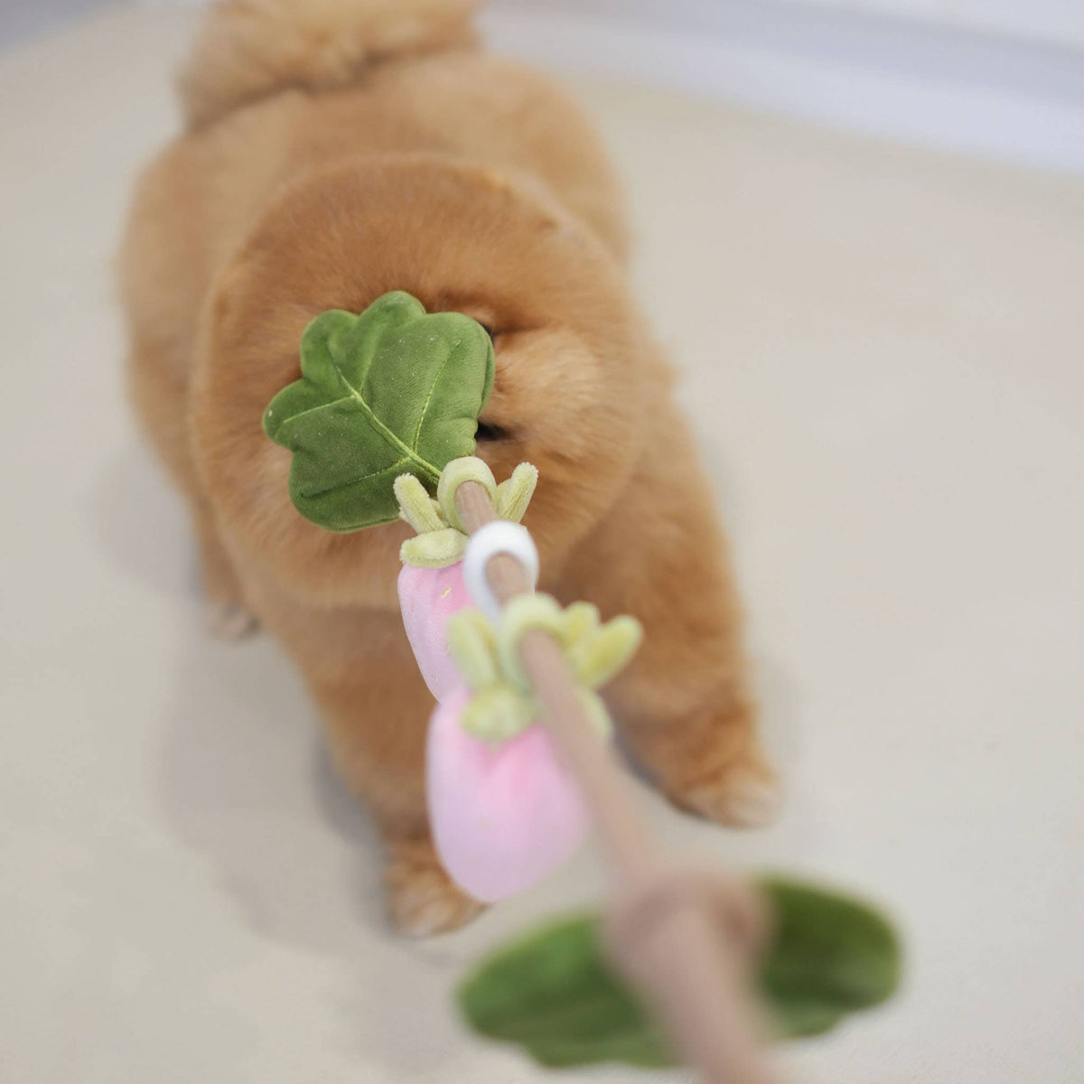 Fraise | Strawberry Rope Toy