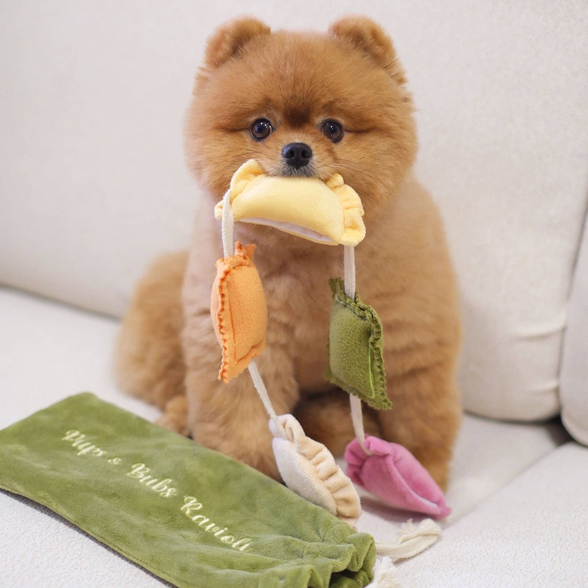 Ravioli | Nosework Enrichment Toy
