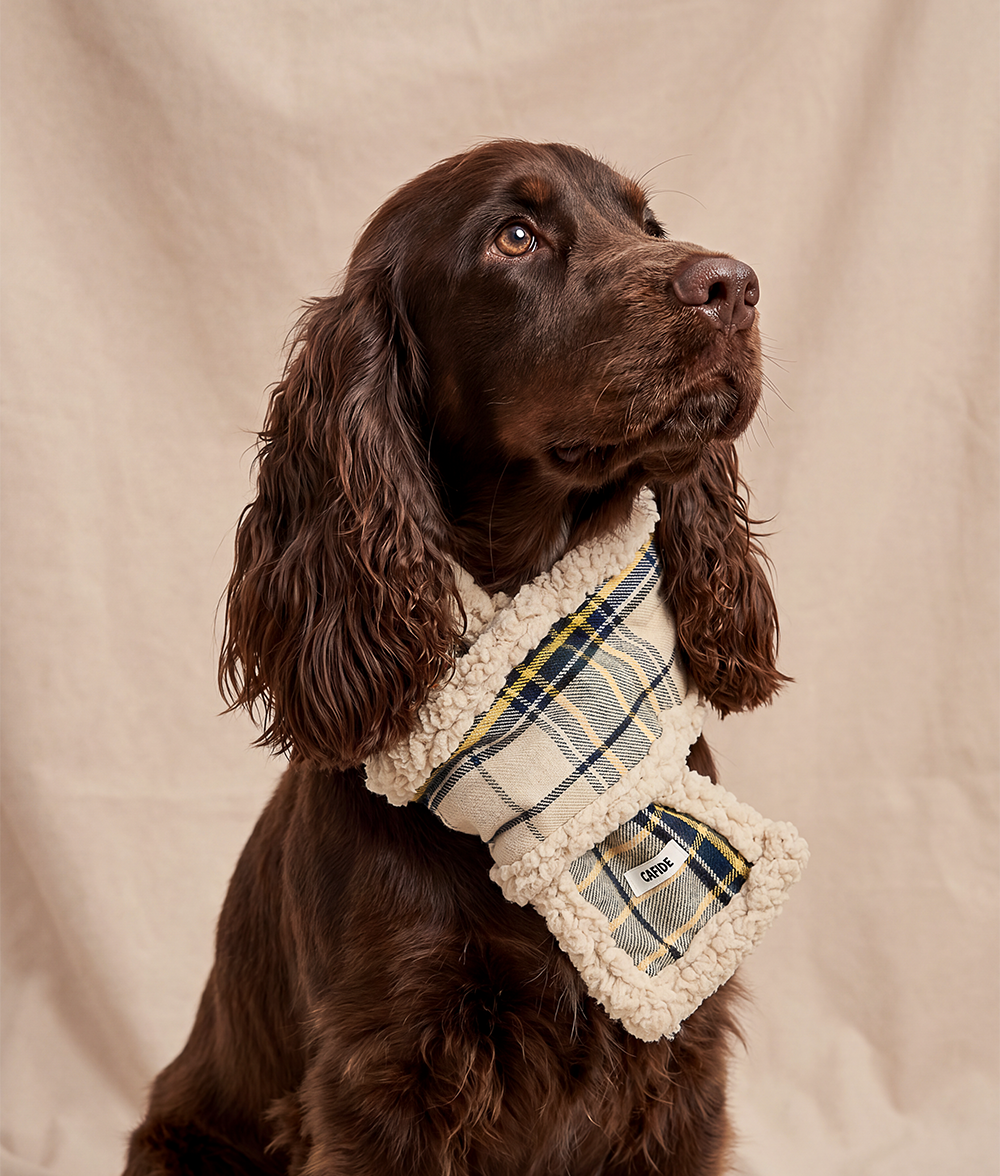 Mica | Tartan Dog Scarf – Beige