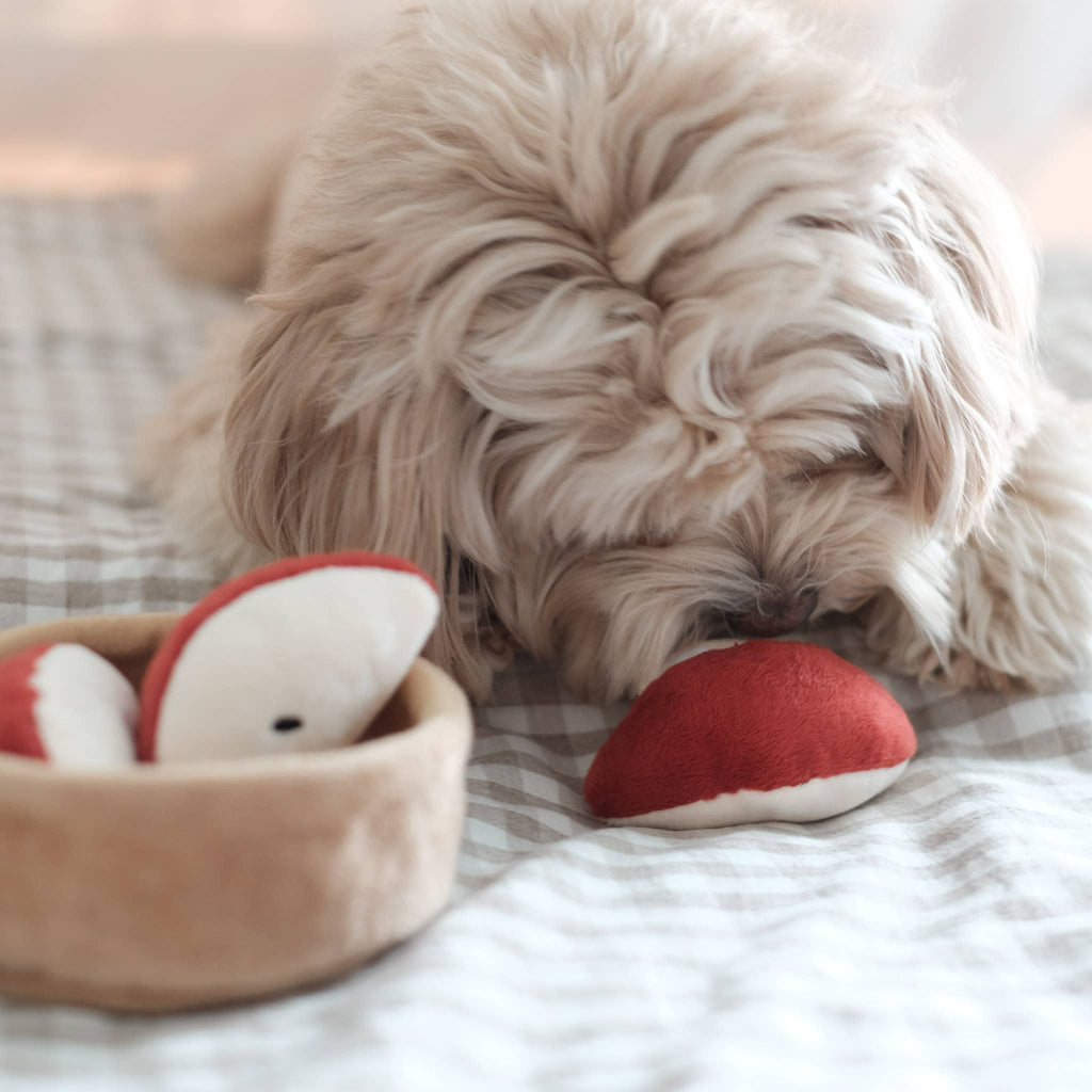 Pomme | Apple Pie Nosework Toy
