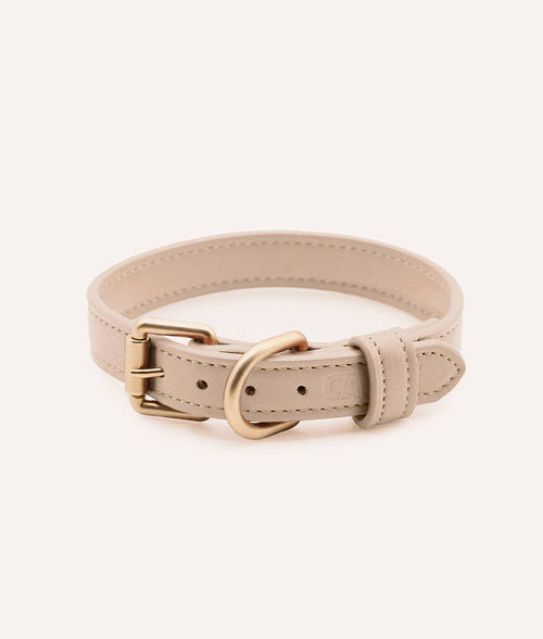 CAFIDE Jala ivory vegan leather dog collar with adjustable buckle