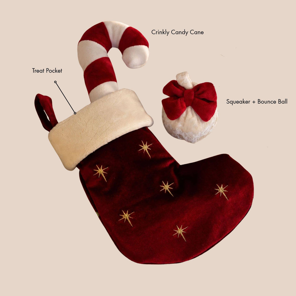Noël | Holiday Stocking Nosework Set