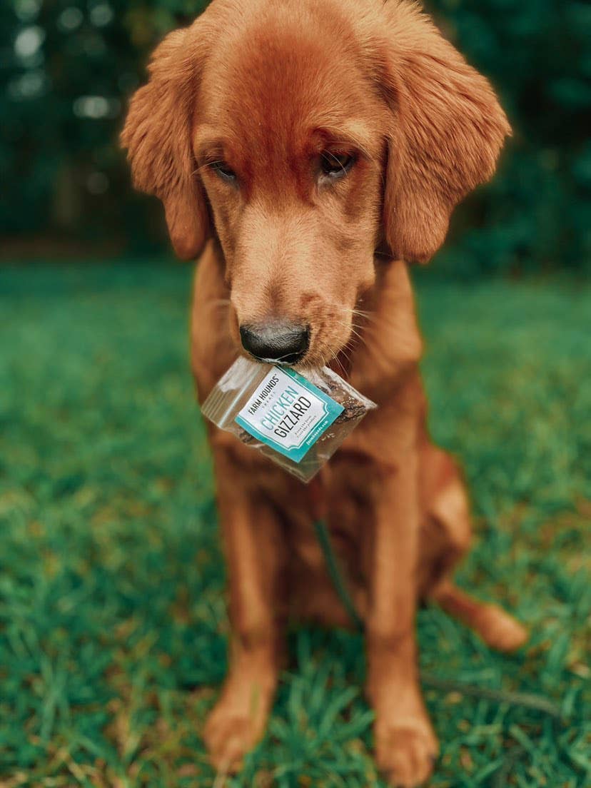 The Tasting Edit | Dog Treat Sampler – 25 Pieces