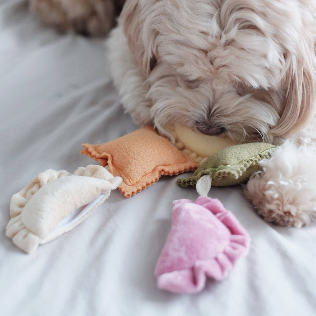 Ravioli | Nosework Enrichment Toy