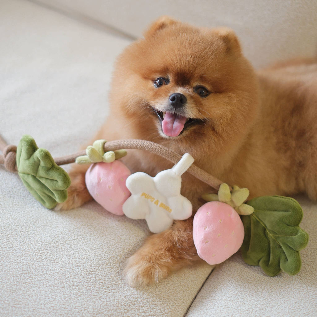 Fraise | Strawberry Rope Toy