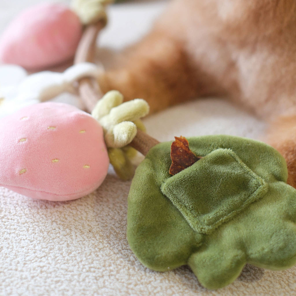Fraise | Strawberry Rope Toy