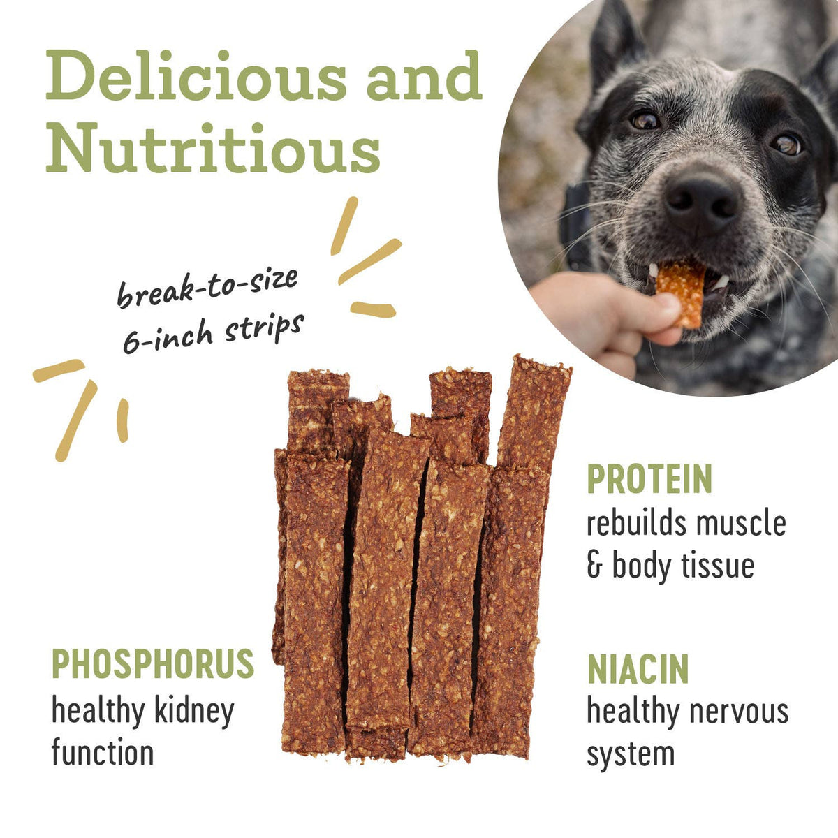 Turkey | Natural Dog Treat Strips – 4.5 oz
