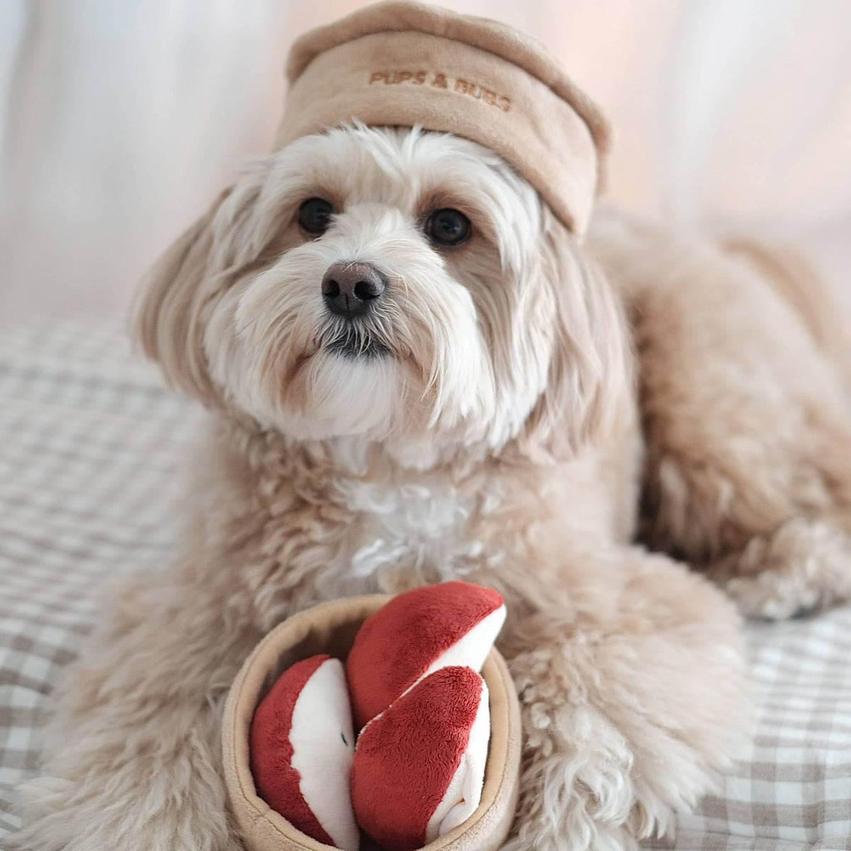 Pomme | Apple Pie Nosework Toy