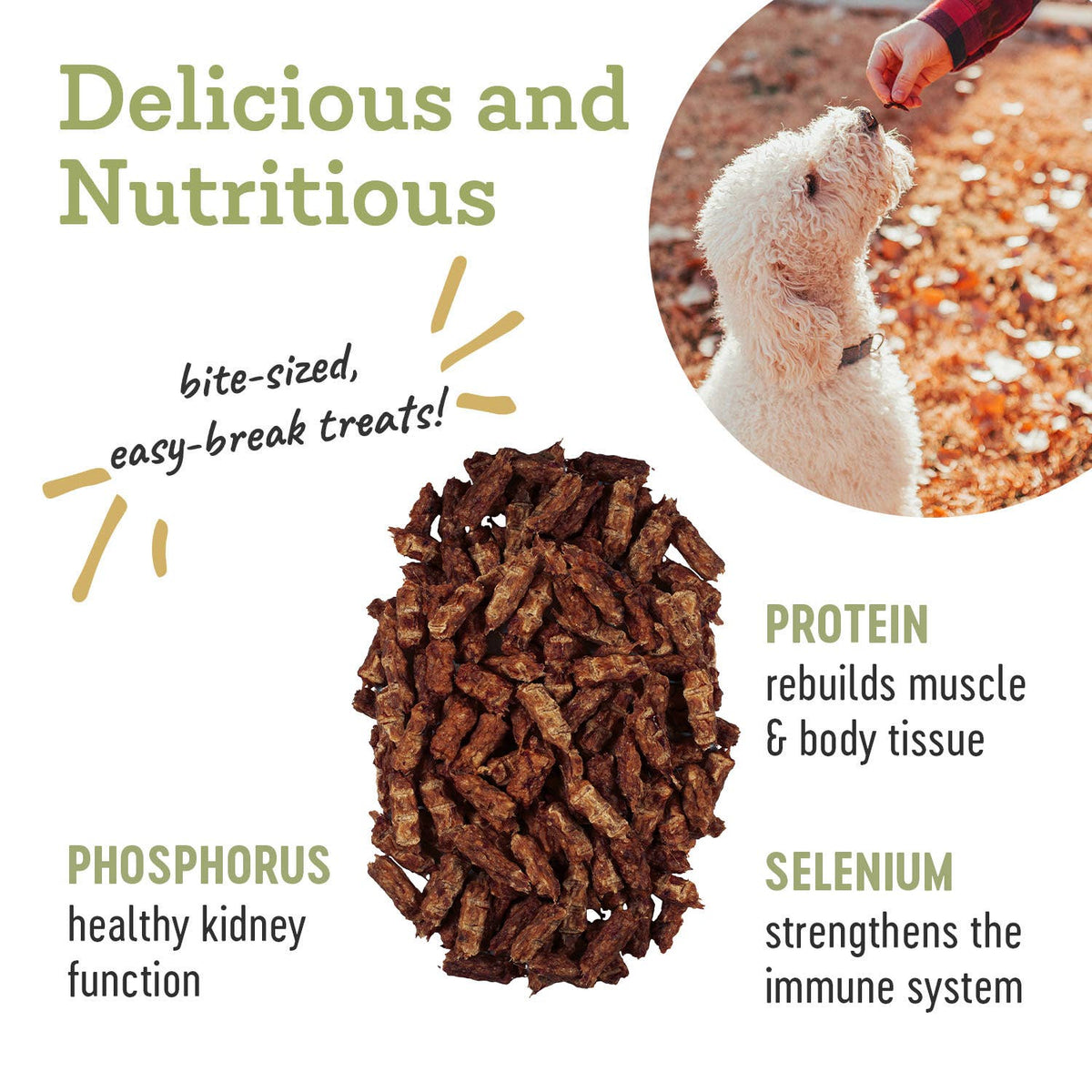 Beef | Natural Training Treats – 4.5 oz