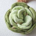 Chou | Cabbage Nosework Toy